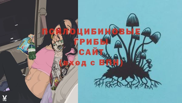 прущие крисы Арсеньев