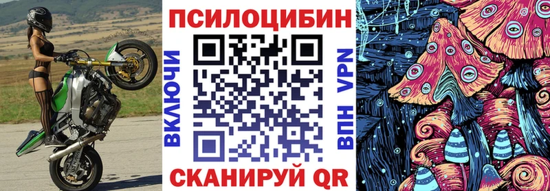 блэк спрут ССЫЛКА  Рошаль  Псилоцибиновые грибы прущие грибы 